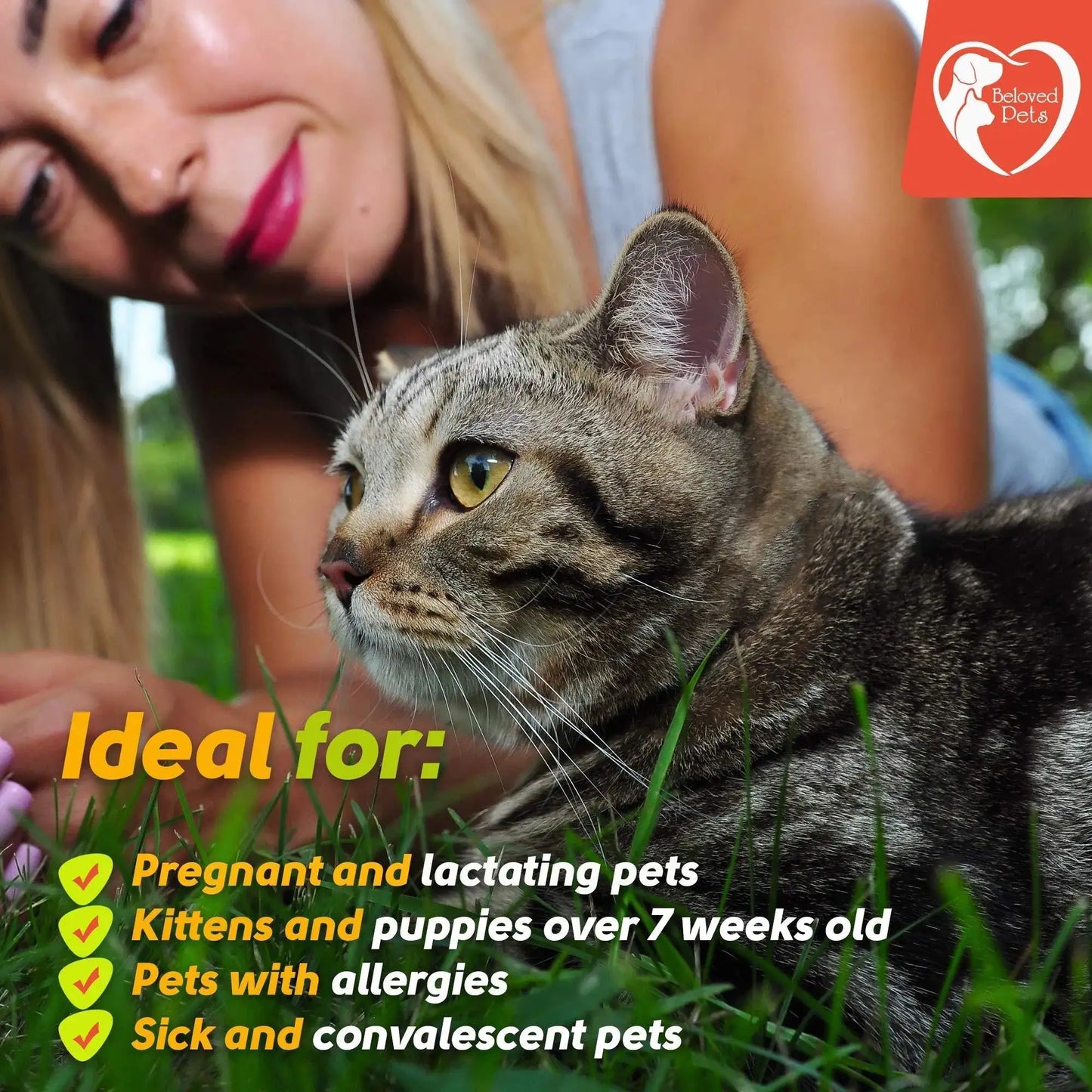 Flea And Tick Prevention For Dogs Cats Rabbits