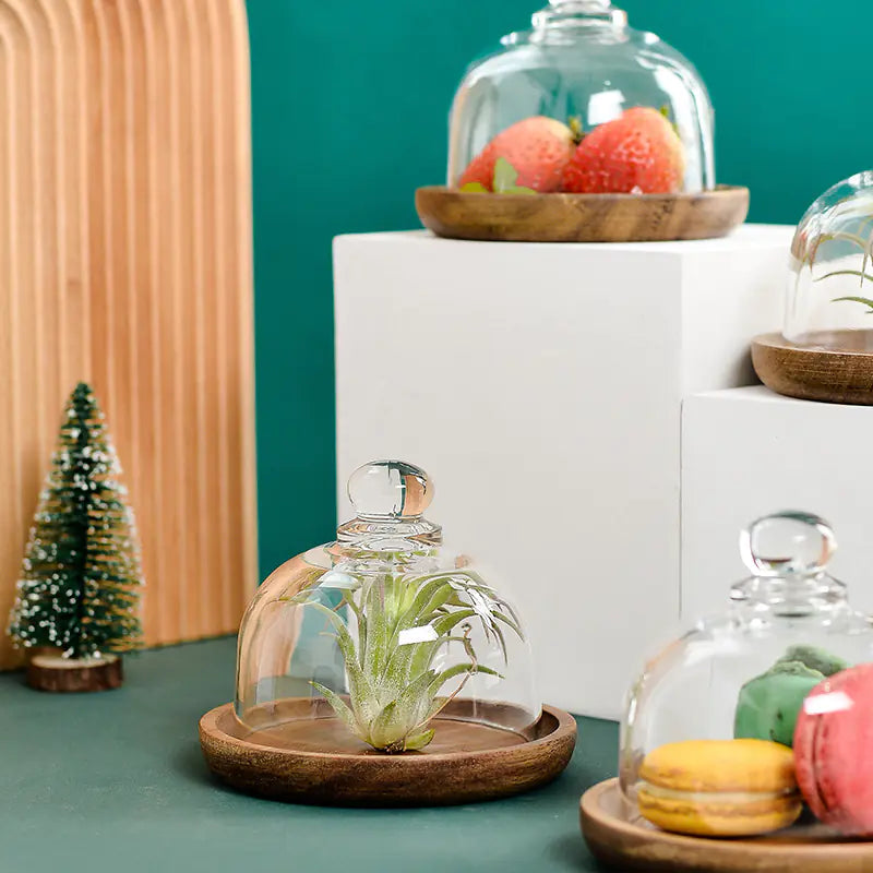 Mini Dessert Display Tray with Glass and Wood Base